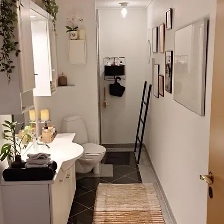 Stort Og Dejligt Med Privat Bad