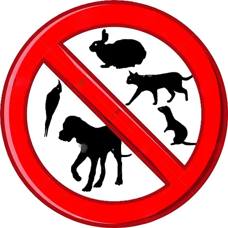 Séjour chez l'habitant Stort Og Dejligt Vaerelse Med Privat Bad Hornsyld